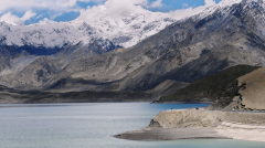 手艺的改革正从头定义市场机缘的捕获